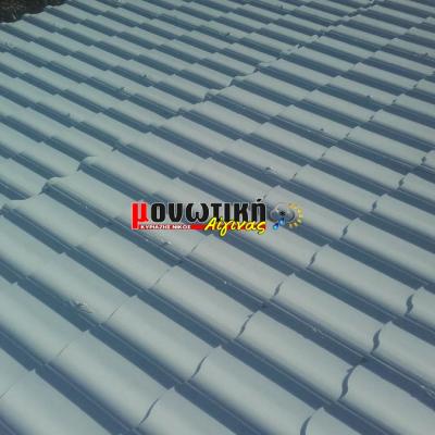 Efarmoges Polyourias 028