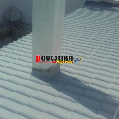 Efarmoges Polyourias 029