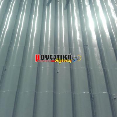 Efarmoges Polyourias 030