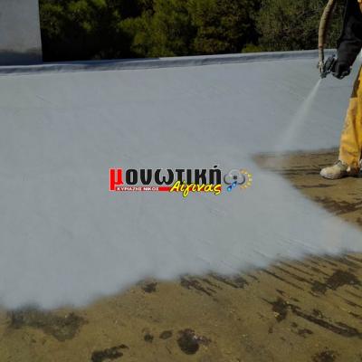 Efarmoges Polyourias 042