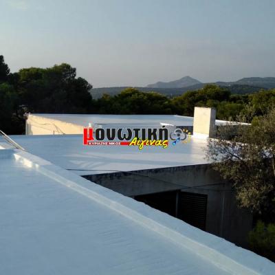 Efarmoges Polyourias 044