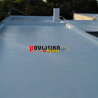 Efarmoges Polyourias 045