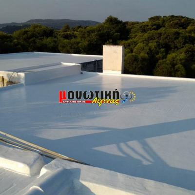 Efarmoges Polyourias 046