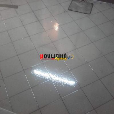 Gemisma Gialisma Dapedon 09